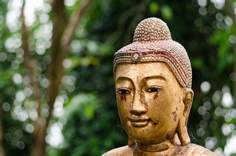 The Wisdom of Buddha - Alex Shaw Power Feng Shui
