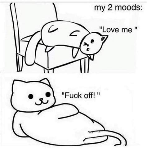 My Two Moods Rwholesomememes Wholesome Memes Know Your Meme