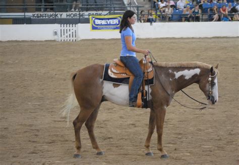 Breyerfest Guest Horse Fleetstreet Max Breyerfest 2010 Flickr