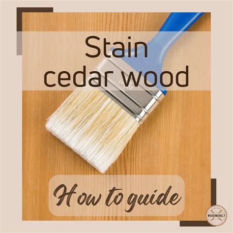 Does Cedar Stain Well 2023 Ultimate Guide Woodworkly