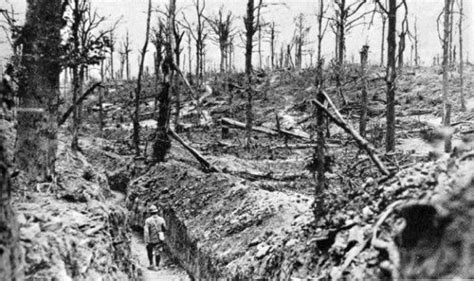Assessing The Toxic Legacy Of First World War Battlefields Toxic