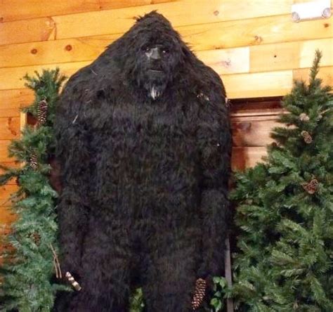 Sasquatch Hunters Will Take To The Woods