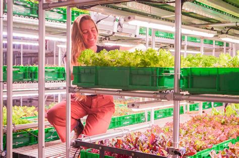 Start Farming — Area 2 Farms