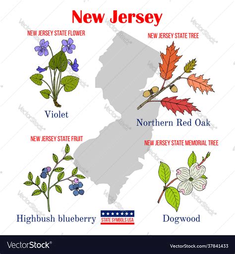 New Jersey State Symbols Clipart By Teacher S Clipart Tpt Sexiz Pix
