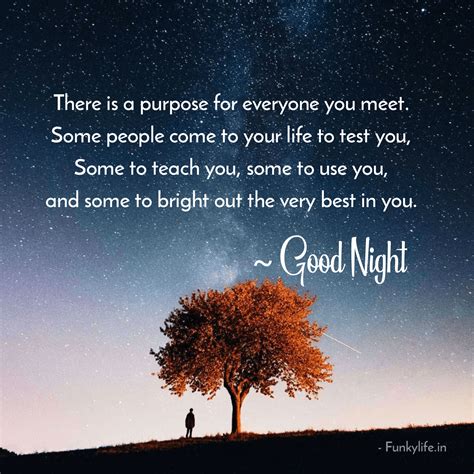 More Than 150 Beautiful Good Night Phrases Images And Messages In