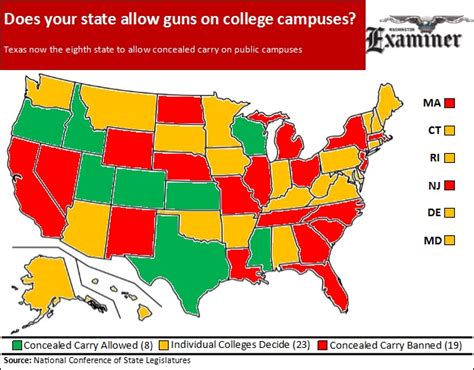 Why Guns Should Not Be Allowed On College Campuses Essay