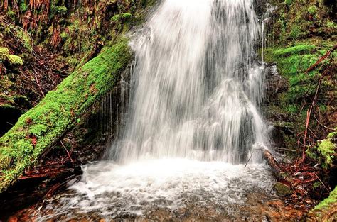 Fern Rock Falls Idiotville Oregon Photograph By Beautiful Oregon