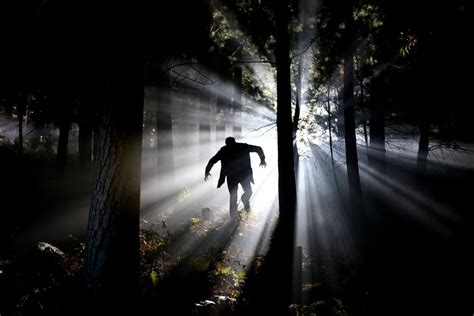 The Most Haunted Forests In The World For Brave Outdoor Addicts