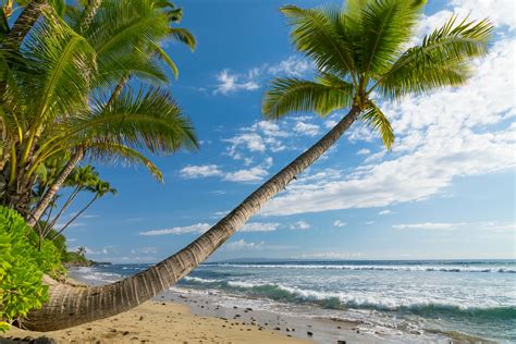 Tropics Coast Sky Waves Scenery Ocean Hawaii Palma Trees