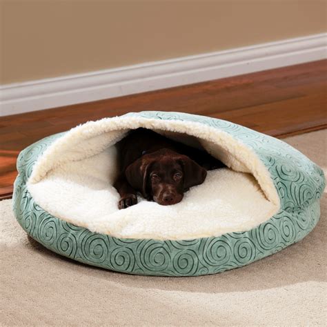 15 Stunning Pet Beds Ideas