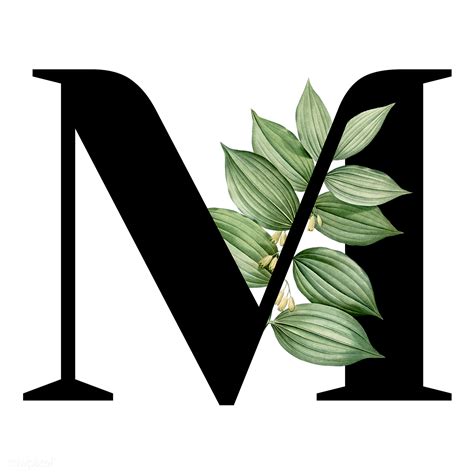 We did not find results for: Botanical font letter M | Royalty free transparent png ...