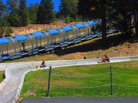 Alpine Slide At Magic Mountain Big Bear Region 2020 All You Need To