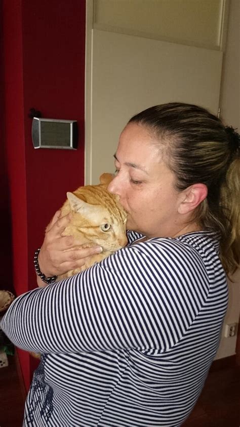 Stowaway Cat Singa Survives 6 Weeks Trapped In Shipping Container Finds New Home In Holland