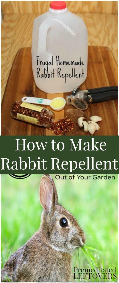 rabbit deterrent rabbit repellent deer repellant squirrel repellant bug deterrent lawn and