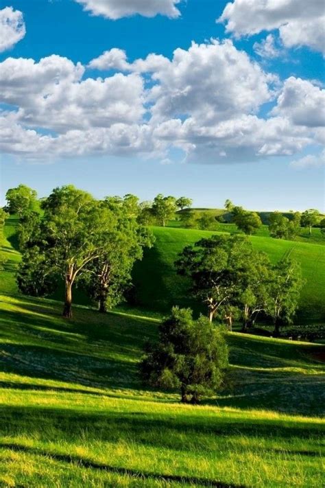 Summer Hills Trees Green Meadows Clouds Sky Ease Landscape