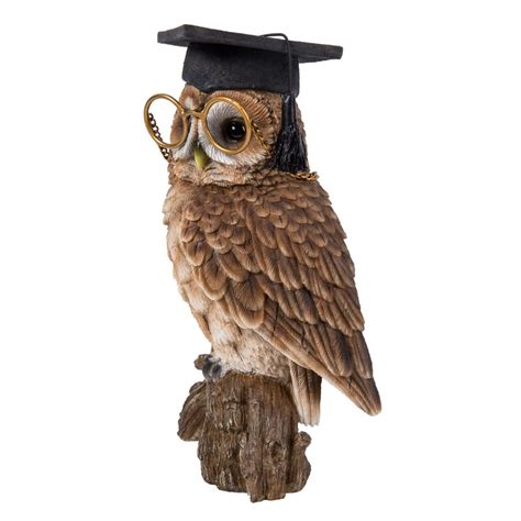 Hi Line T Ltd Owl With Glasses And Graduation Cap Statue Wayfair