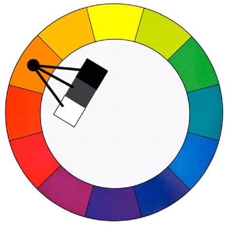 Cómo Elegir La Paleta De Colores Entender El Color Parte 1 Piktochart