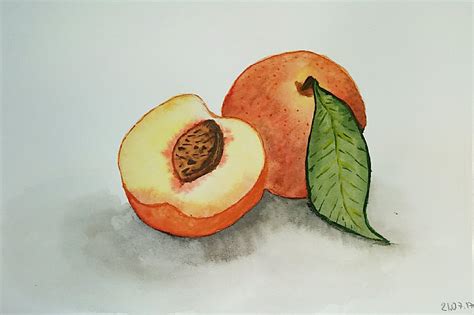 Watercolor peaches #watercolor #peaches #painting | Watercolor peaches, Watercolor, Watercolor ...