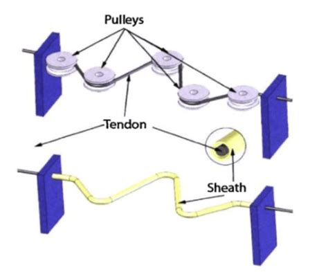 Difference Between The Cable Pulley And The Tendon Sheath Actuation