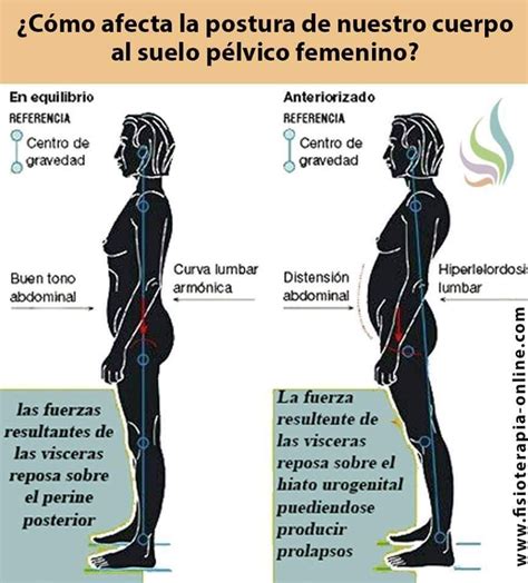 Pin de G.Tracks en Chuletraining | Posturas corporales, Ejercicios