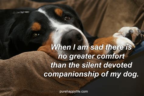 Sad Puppy Quotes Quotesgram