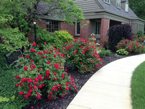 Rose Garden Ideas For Front Yard