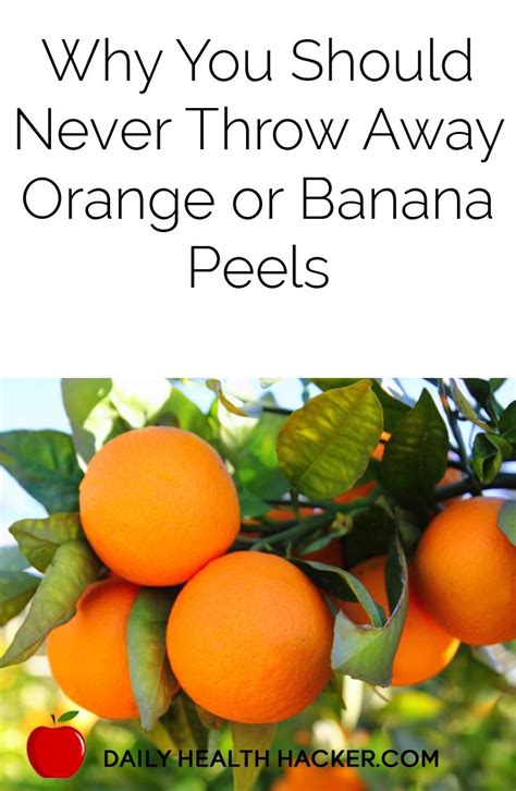 Why You Should Never Throw Away Orange Or Banana Peels Household