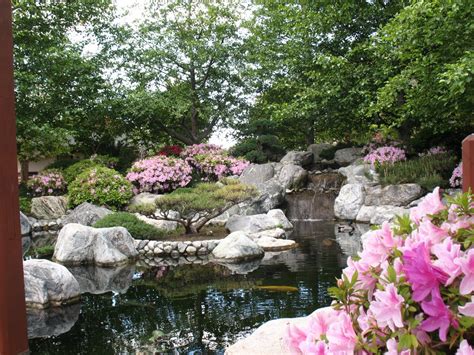 Tranquility Blooms At The Japanese Friendship Garden