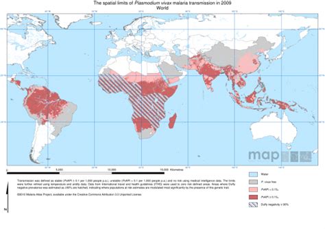 Different Types Of Malaria Geographic Dispersal Risk Assessment And