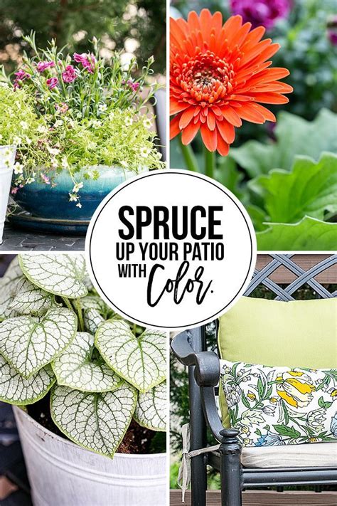 Simple Ways To Add Color To Your Back Porch Container Gardening