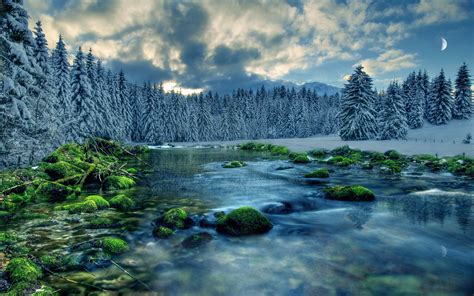 Moss Stream Sky River Snow Forest Clouds Rocks Trees
