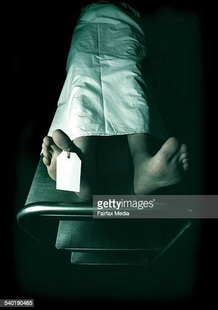 Morgue Bodies Photos And Premium High Res Pictures Getty Images