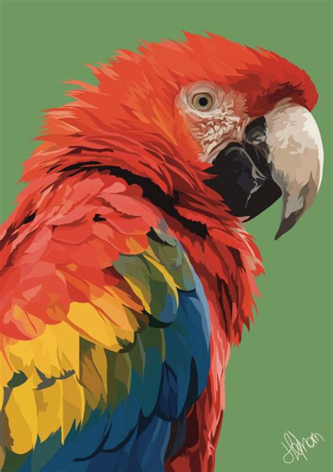 Macaw Parrot Colourful Illustration Print Etsy