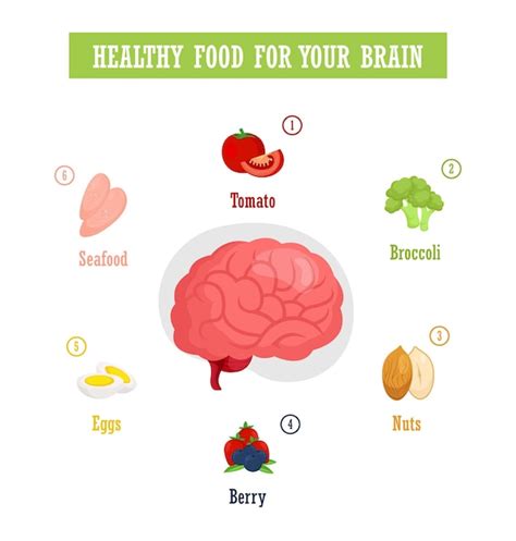 Premium Vector Best Food For Brain Health Set Illustration