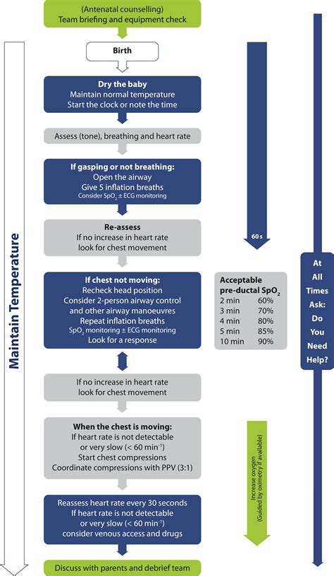 European Resuscitation Council Guidelines For Resuscitation 2017