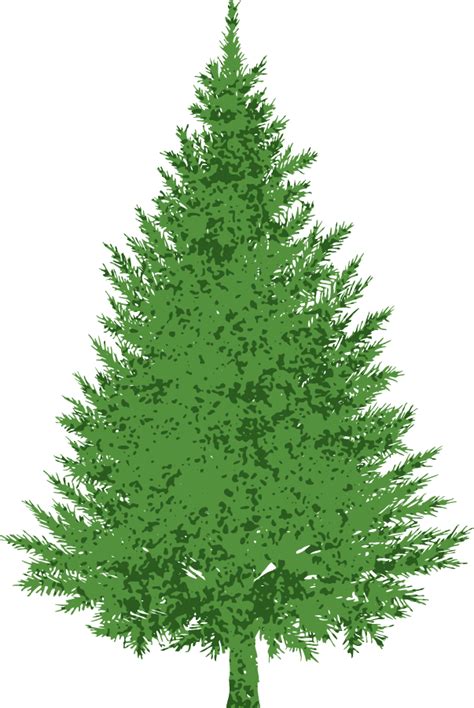 Evergreen Bush Clipart 20 Free Cliparts Download Images On Clipground