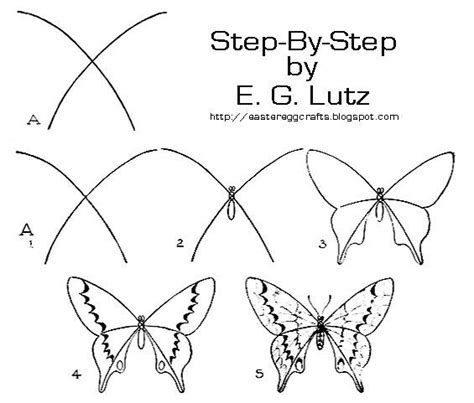 Image Result For How To Draw A Butterfly Step By Step Realistically In