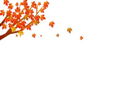 Autumn fall leaf leaves tree. autumn animated - DriverLayer Search Engine