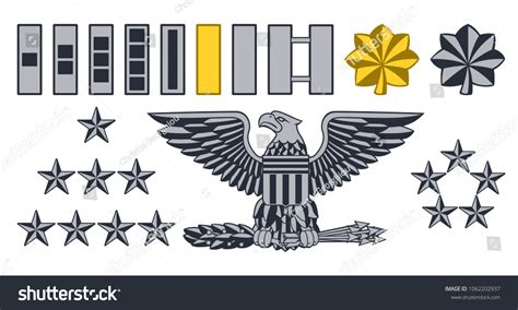 Set Military American Army Officer Ranks Stock Vector Royalty Free