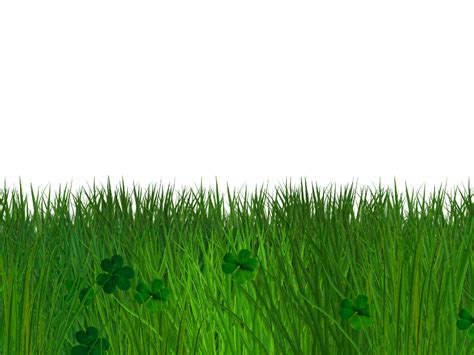 Green Grass And Clover Border With Transparent Background Png Nature