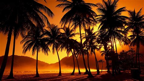 Tropical Sunset 4k Wallpapers 4k Hd Tropical Sunset 4k Backgrounds