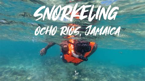 Snorkeling At Paradise Reef In Ocho Rios Jamaica Where Df Youtube