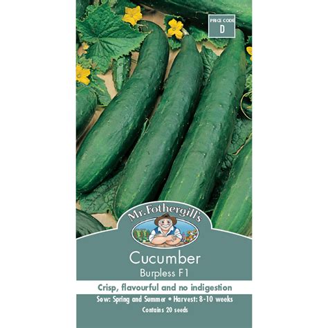 Mr Fothergills Burpless Cucumber Vegetable Seed Bunnings Warehouse