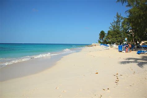 Barbados Beach Of The Week Turtle Beach Barbados Org BlogBarbados
