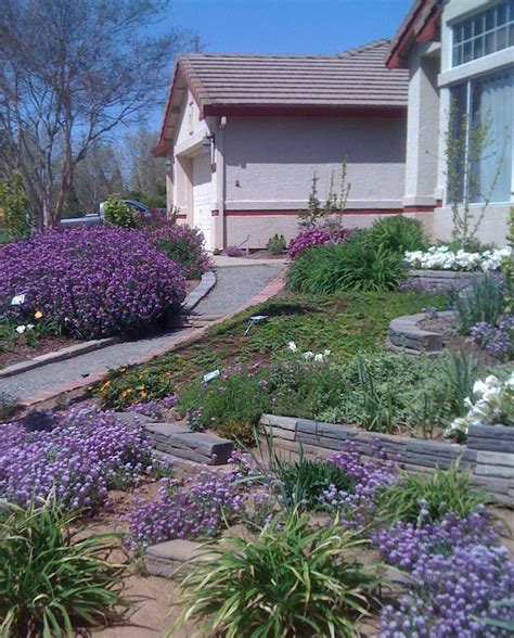 Genos Garden Design And Coaching Lawn Free Garden Tour