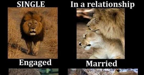 Single Life Vs Married Life Diply Funny Relationship Married Life