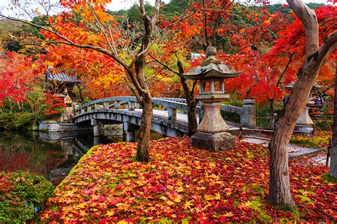 Best Places To Visit In Japan In Autumn Travel News