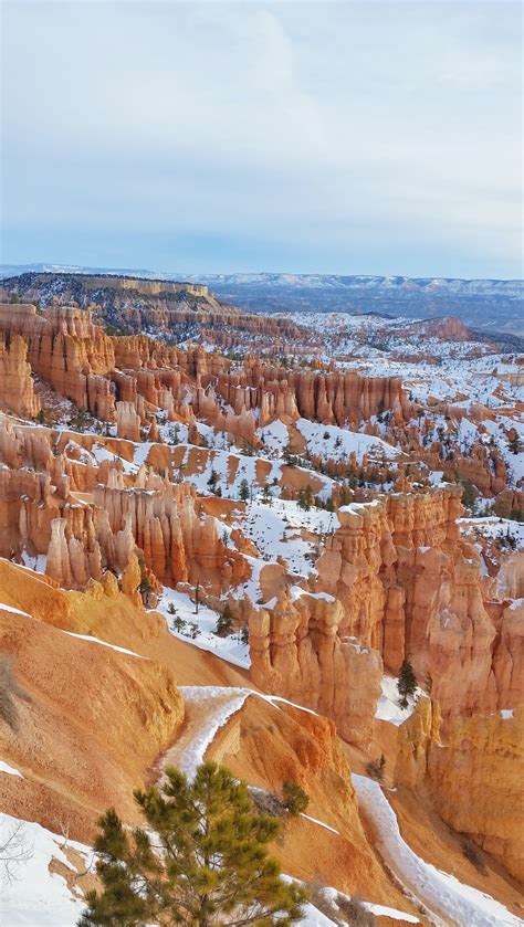 Best Of Bryce Canyon Winter Hike The Hoodoos In Snow ⛄ Utah December