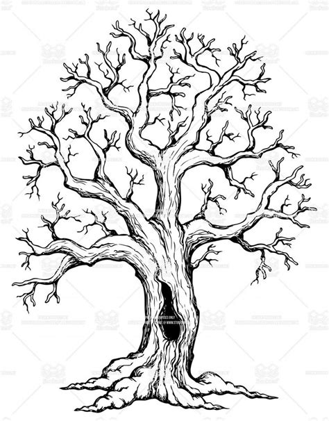 Check spelling or type a new query. free clipart line drawing live oak tree 20 free Cliparts ...