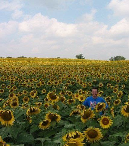 Last time i stopped by a sunflower field was 3 years ago, somewhere near a village 100kms off hyderabad. Me in a giant sunflower field near Lawrence | Sunflower ...